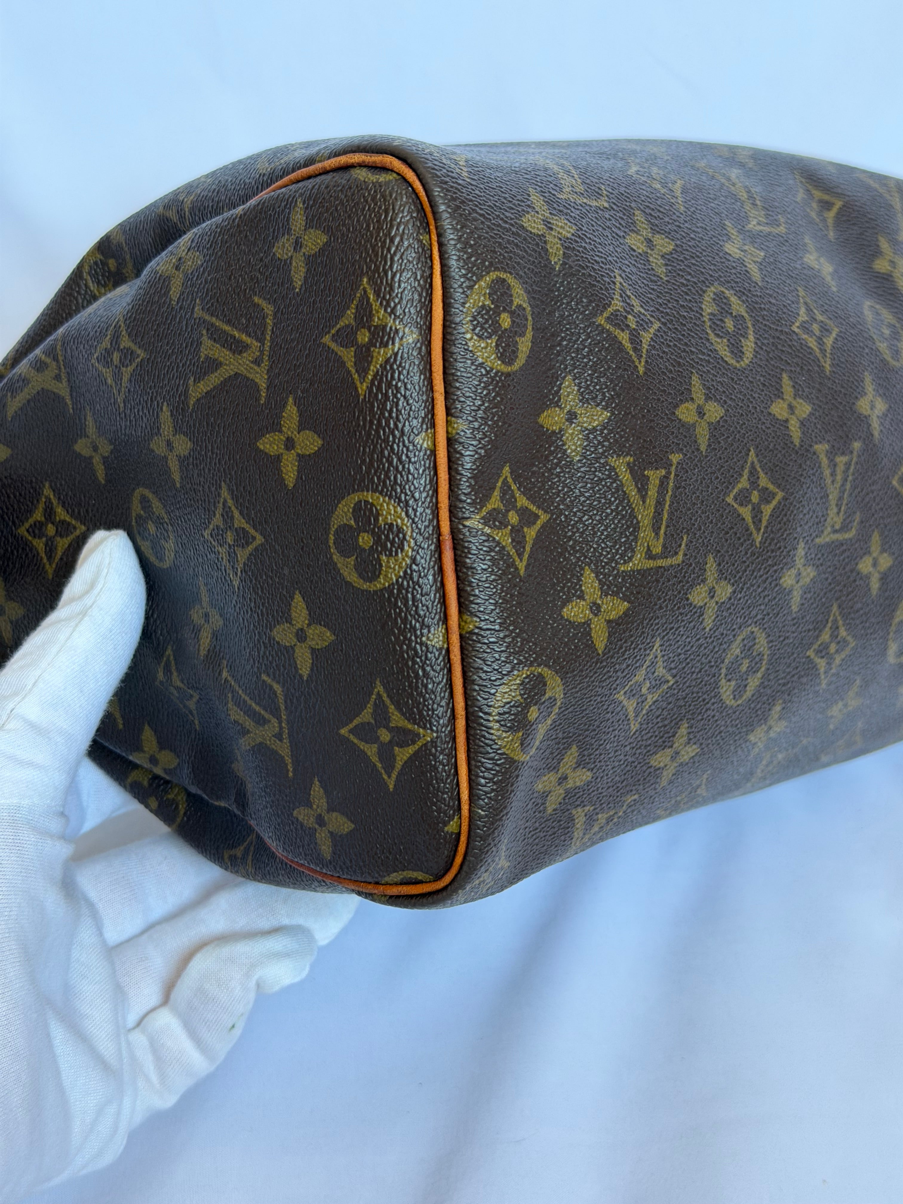 Louis Vuitton Speedy 25 in Monogram Canvas