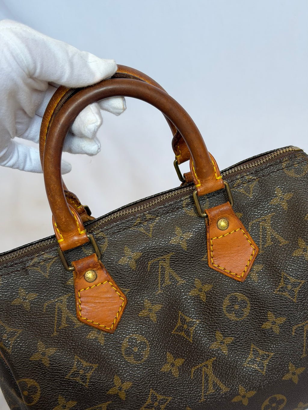 Louis Vuitton Speedy 25 in Monogram Canvas