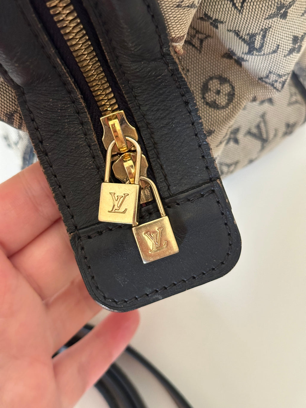 Louis Vuitton Josephine PM Handbag in Canvas with Additional Strap