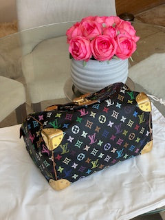 Louis Vuitton X Takashi Murakami Multicolour Speedy 30