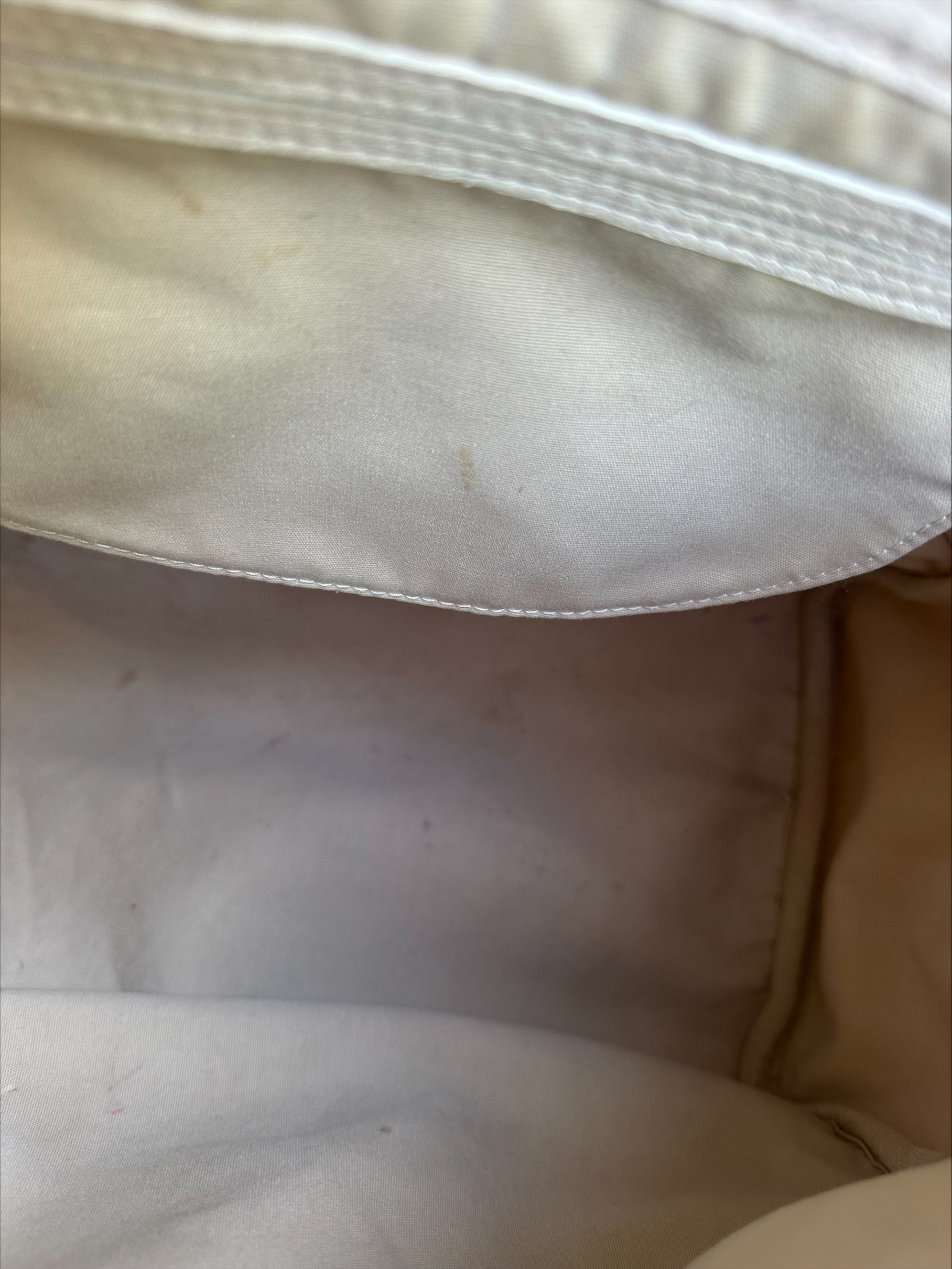 Louis Vuitton Speedy 30 in Cream Dune Monogram Mini Lin Canvas with Lock & Key